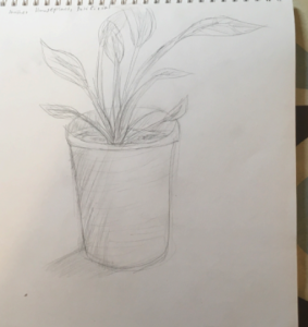 Plant – Gr. 5/6 Art